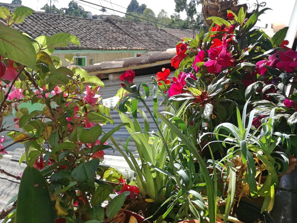 Posada Elenita サレント エクステリア 写真