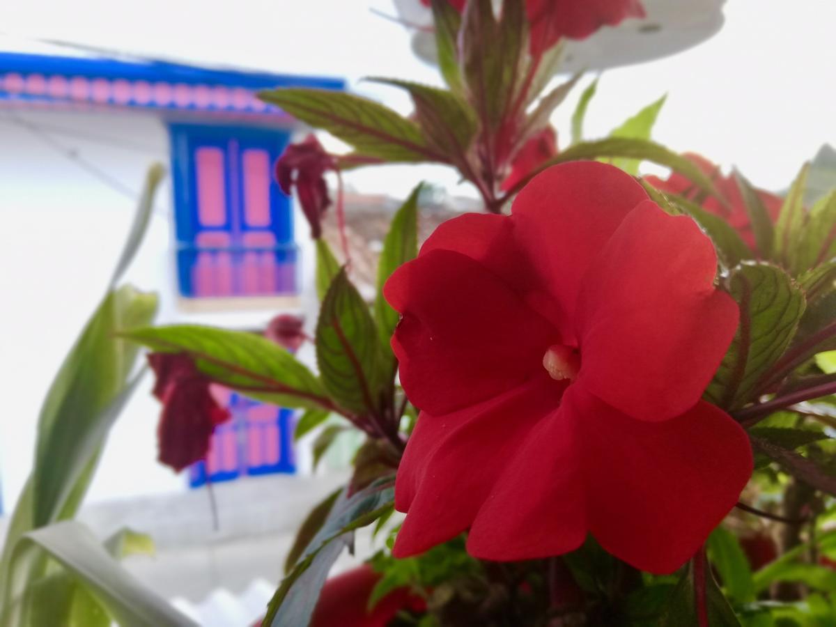 Posada Elenita サレント エクステリア 写真